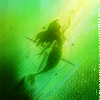 photo Libra001-3-sheeplover0104.png