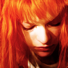 photo appleindecay-24-026.png