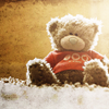 photo august-5_teddy-sietepecados.png
