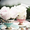 photo august-tisforteacup-ciaimpala.png