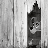 photo bRIfv-eotheod.png
