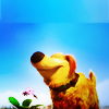 photo up003-burntheflaws.png