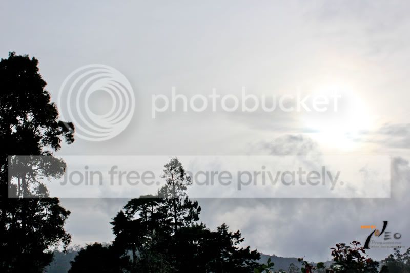 IMG_1501.jpg