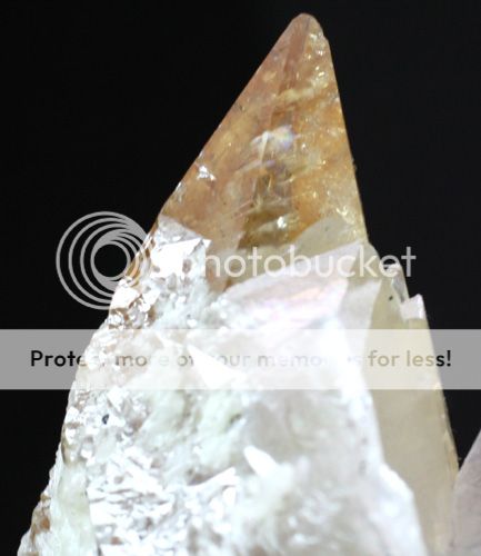 Doubly terminated Golden CALCITE Crystal Elmwood  