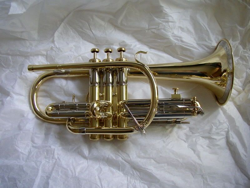 vintage olds cornet case for sale vintage olds cornet case for sale