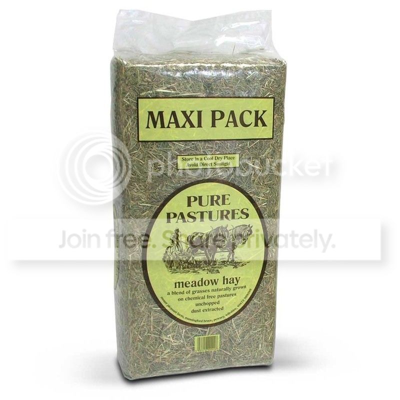 hay-maxi.jpg