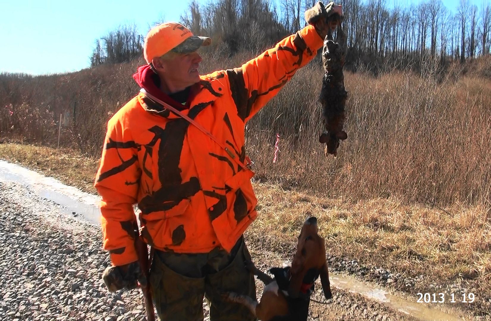 Video:Best Rabbit Hunt All Year. Rabbits Put On A Show - The American ...
