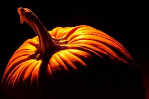 Happy Halloween Happy Halloween